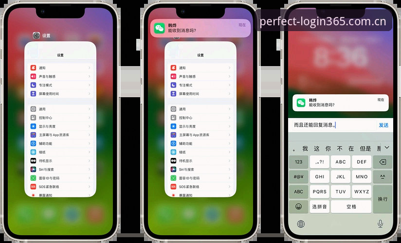 完美体育365最新版本功能详解与使用指南